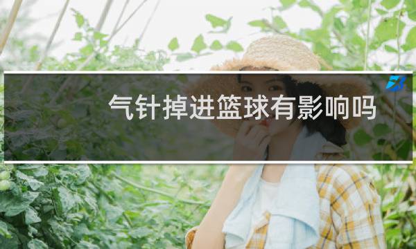 气针掉进篮球有影响吗图片