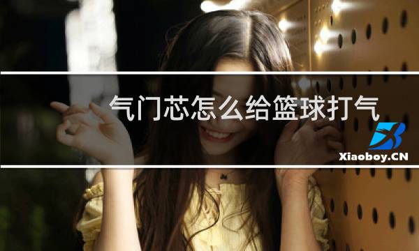 气门芯怎么给篮球打气图片
