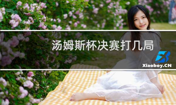 汤姆斯杯决赛打几局图片