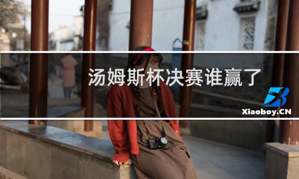 汤姆斯杯决赛谁赢了图片
