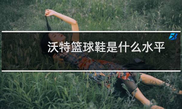 沃特篮球鞋是什么水平图片