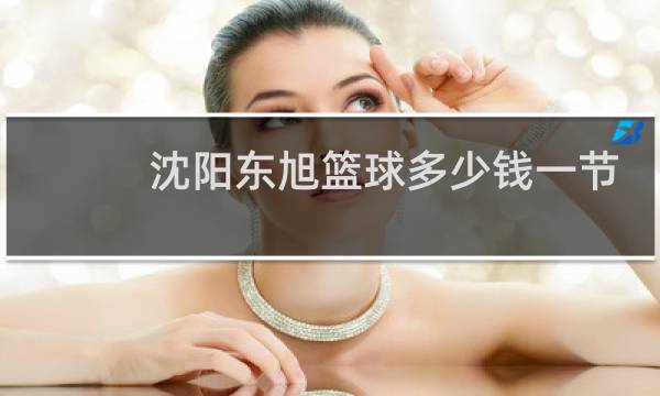 沈阳东旭篮球多少钱一节课图片