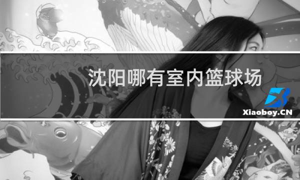 沈阳哪有室内篮球场图片