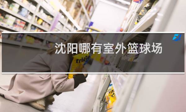沈阳哪有室外篮球场图片
