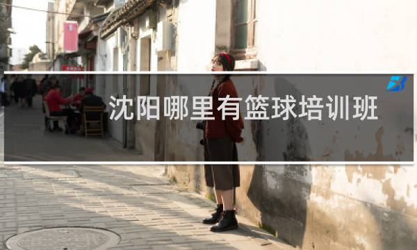 沈阳哪里有篮球培训班图片