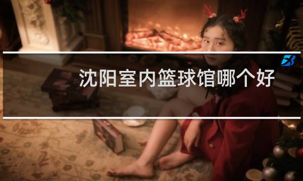 沈阳室内篮球馆哪个好图片