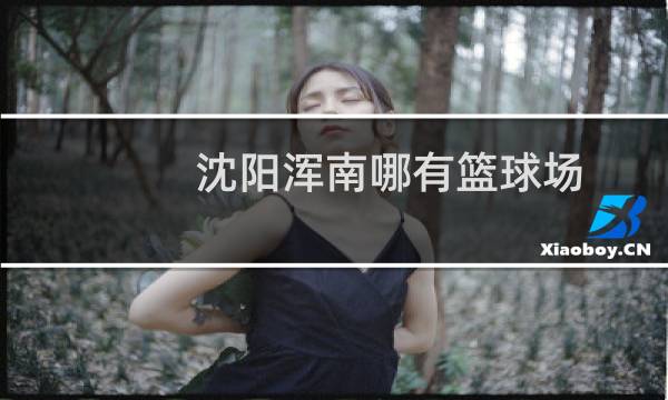 沈阳浑南哪有篮球场图片