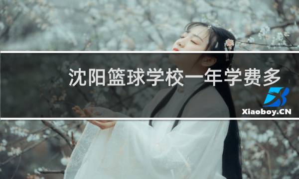 沈阳篮球学校一年学费多少图片