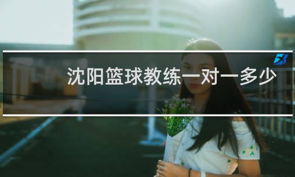 沈阳篮球教练一对一多少钱图片