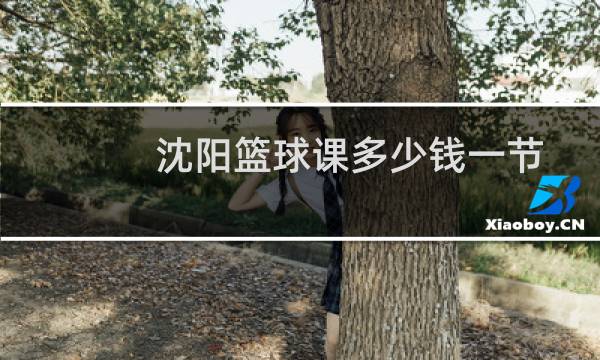 沈阳篮球课多少钱一节图片