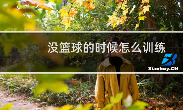 没篮球的时候怎么训练图片