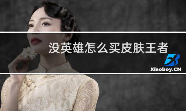 没英雄怎么买皮肤王者图片