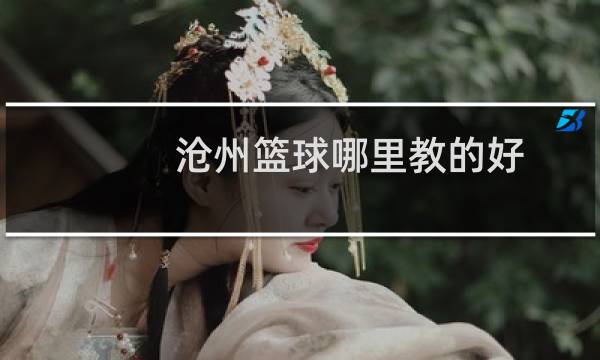 沧州篮球哪里教的好图片