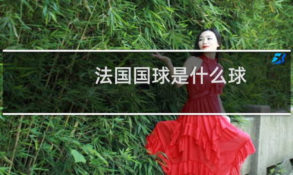 法国国球是什么球图片