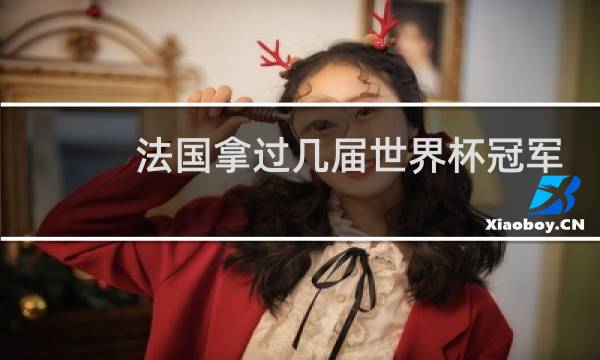 法国拿过几届世界杯冠军图片