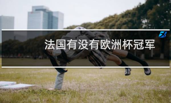 法国有没有欧洲杯冠军图片