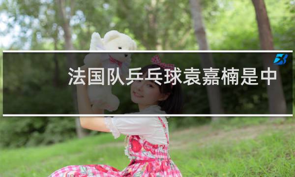 法国队乒乓球袁嘉楠是中国人吗图片