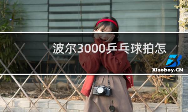 波尔3000乒乓球拍怎么样图片