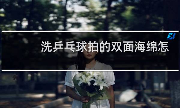 洗乒乓球拍的双面海绵怎么用图片