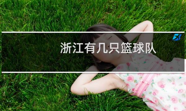 浙江有几只篮球队图片