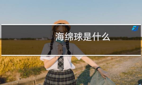海绵球是什么图片