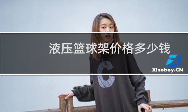 液压篮球架价格多少钱图片