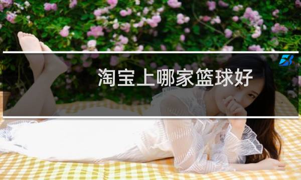淘宝上哪家篮球好图片