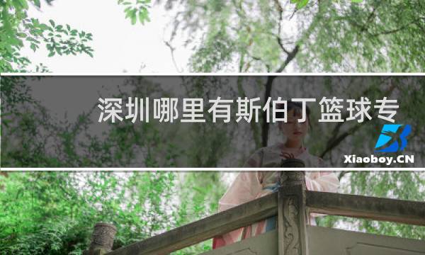 深圳哪里有斯伯丁篮球专卖店图片