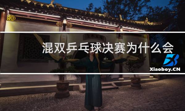 混双乒乓球决赛为什么会输图片