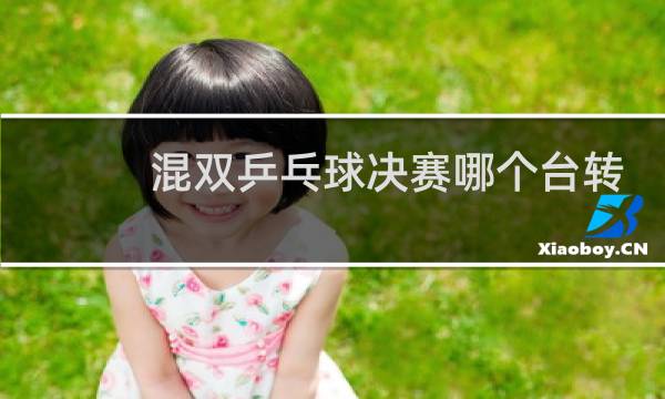 混双乒乓球决赛哪个台转播图片