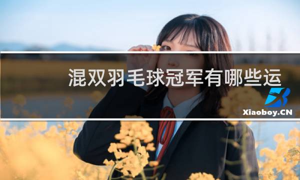 混双羽毛球冠军有哪些运动员图片