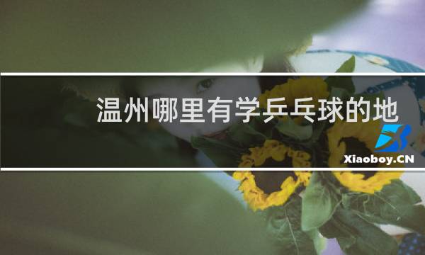 温州哪里有学乒乓球的地方图片