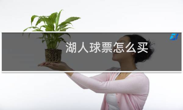 湖人球票怎么买图片