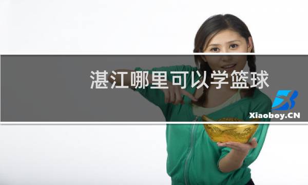 湛江哪里可以学篮球图片