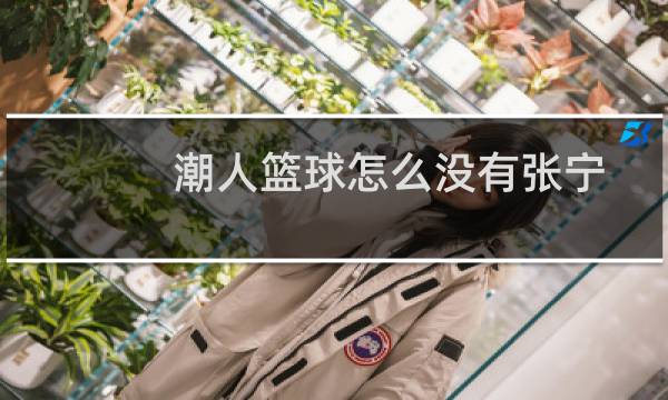 潮人篮球怎么没有张宁图片