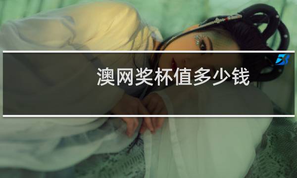 澳网奖杯值多少钱图片