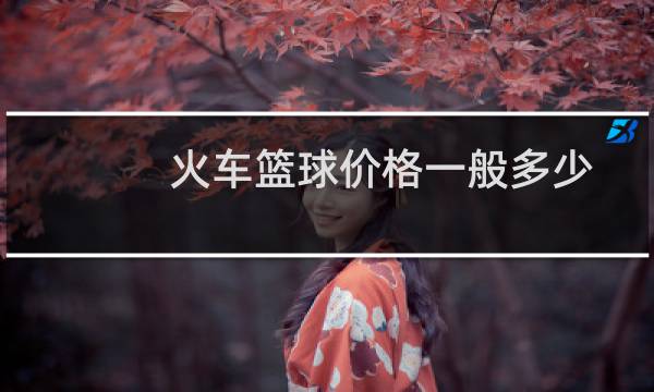 火车篮球价格一般多少图片