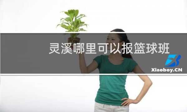 灵溪哪里可以报篮球班图片