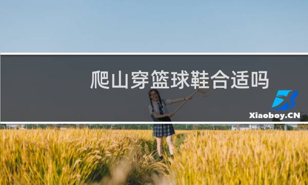 爬山穿篮球鞋合适吗图片