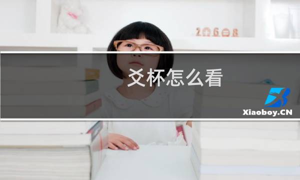 爻杯怎么看图片