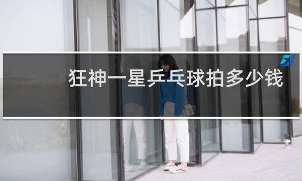 狂神一星乒乓球拍多少钱图片