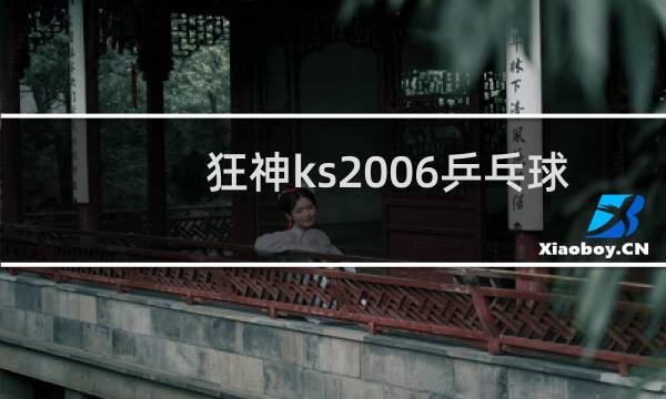 狂神ks2006乒乓球拍怎么样图片