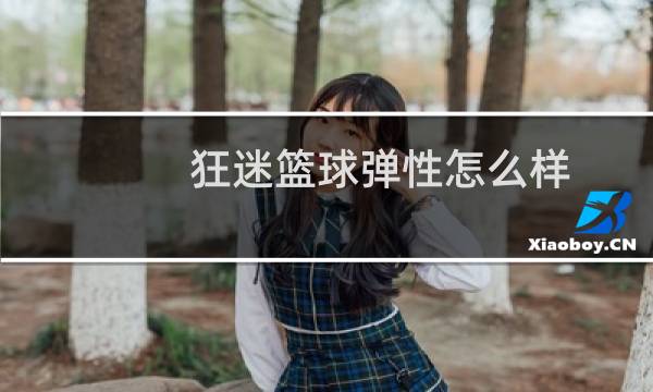 狂迷篮球弹性怎么样