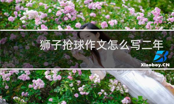 狮子抢球作文怎么写二年级上册图片