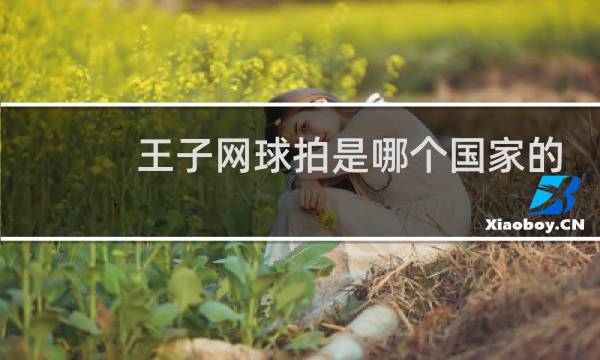 王子网球拍是哪个国家的图片