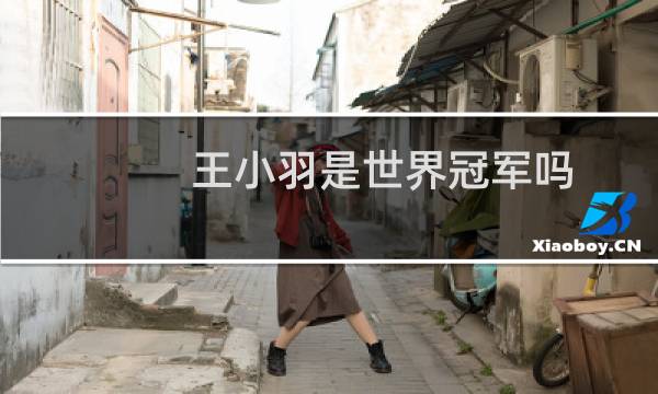 王小羽是世界冠军吗图片