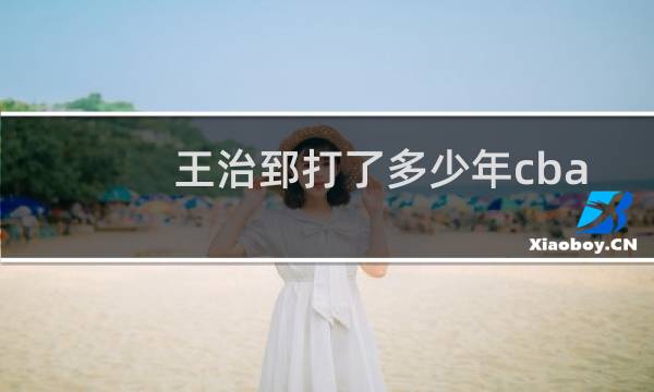 王治郅打了多少年cba图片