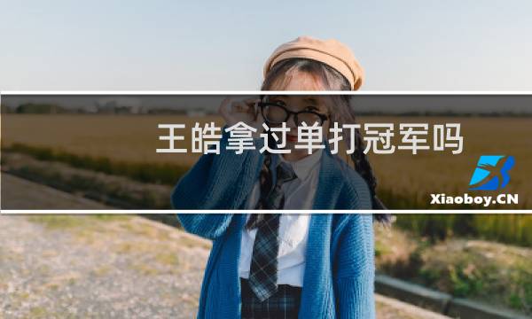 王皓拿过单打冠军吗图片