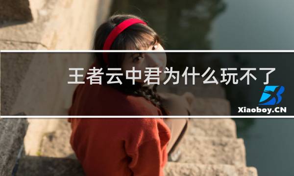 王者云中君为什么玩不了图片