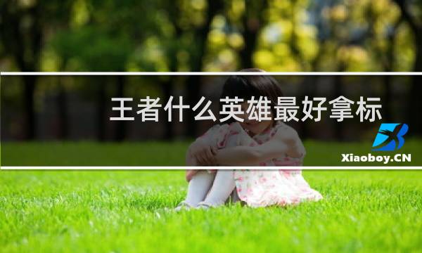 王者什么英雄最好拿标图片